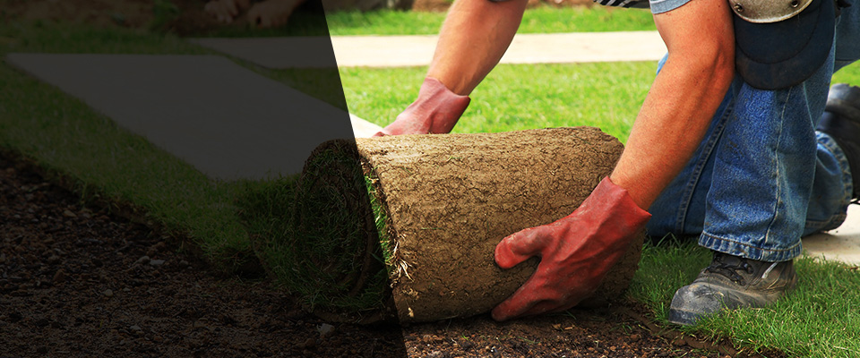 Hoquiam Landscapers